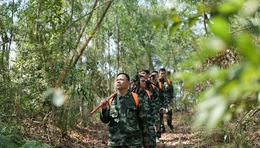 東莞1059名林長(zhǎng)到崗 林長(zhǎng)是多大的&ldquo;官兒&rdquo;